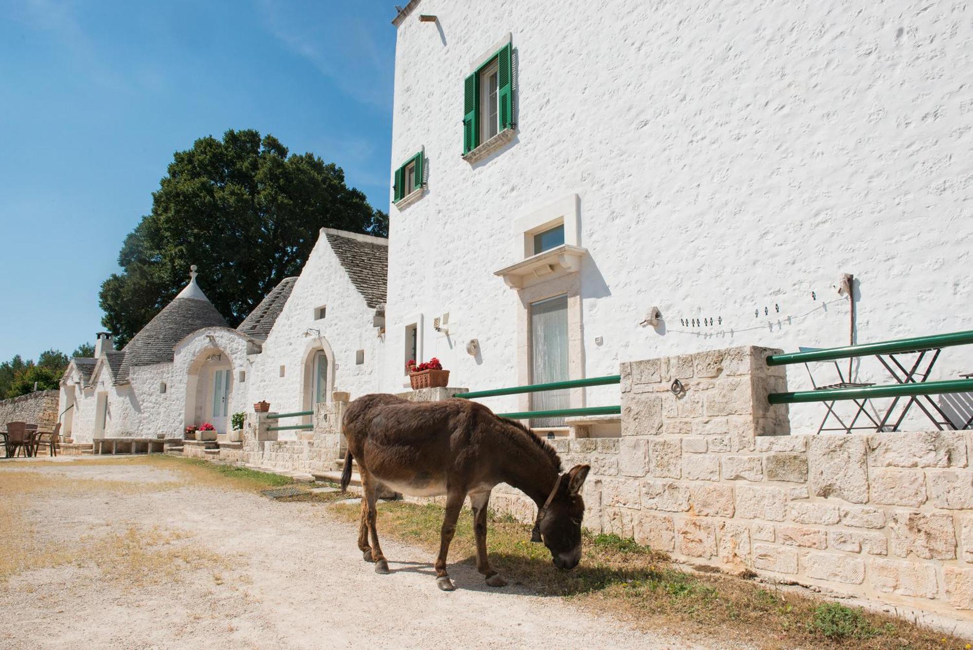 Agriturismo Masseria Aprile Locorotondo Exterior photo